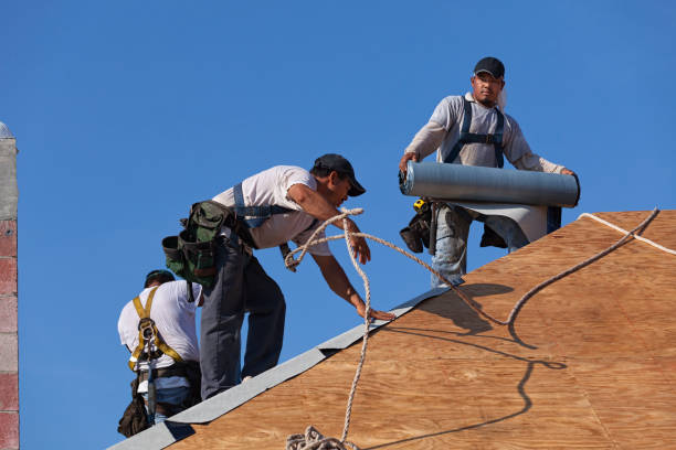 Best Gutter Installation and Roofing  in Lowell, IN